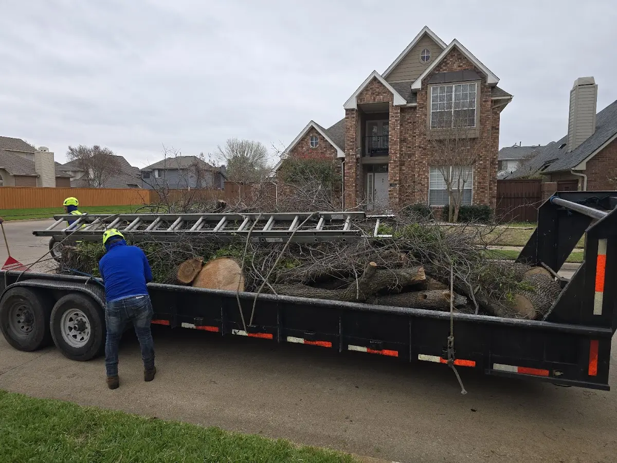 Expert Tree Fertilization with proper safety equipment in Christine